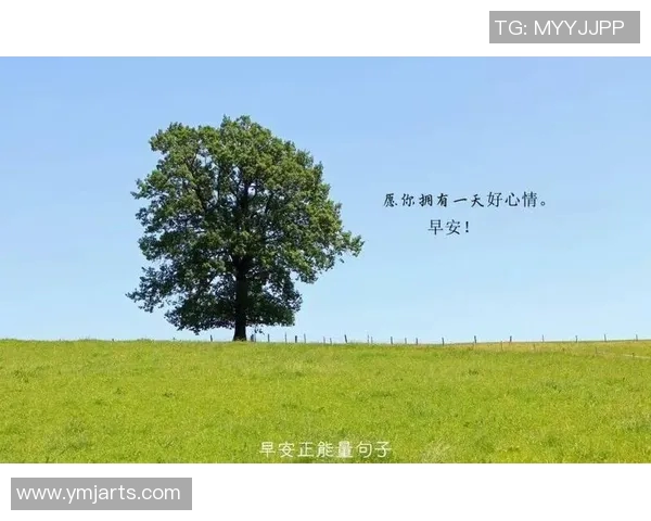 足球明星的励志名言激励我们追逐梦想与坚持不懈的精神之旅